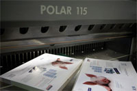 Pollar 115